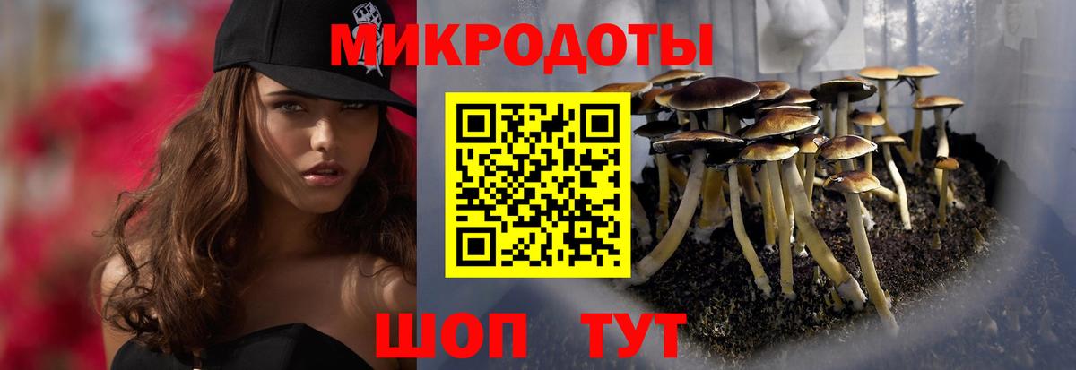 Армавир  Псилоцибиновые грибы Psilocybine cubensis  Вход с VPN 