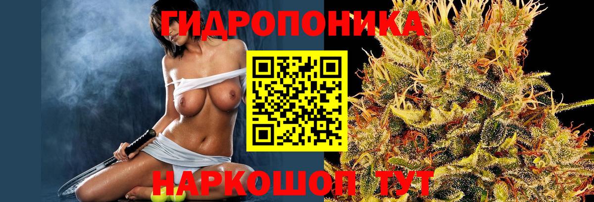 Конопля гибрид Армавир